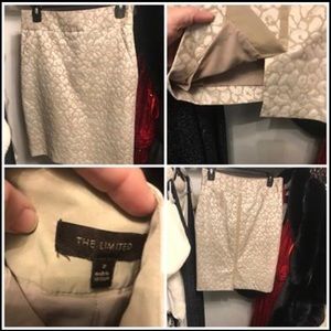 Skirt The Limited